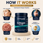 All Body Collagen Powder