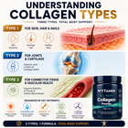 All Body Collagen Powder